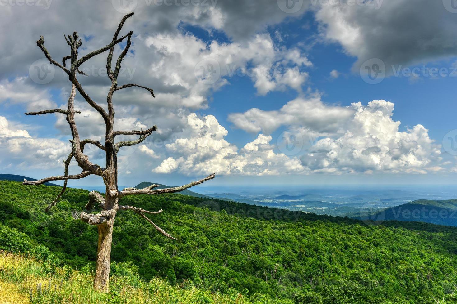 Blick auf das Shenandoah-Tal und die Blue Ridge Mountains vom Shenandoah-Nationalpark, Virginia foto