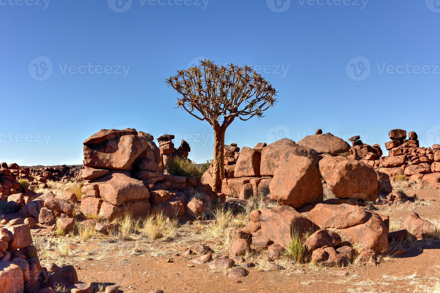 Spielplatz des Riesen - Namibia foto