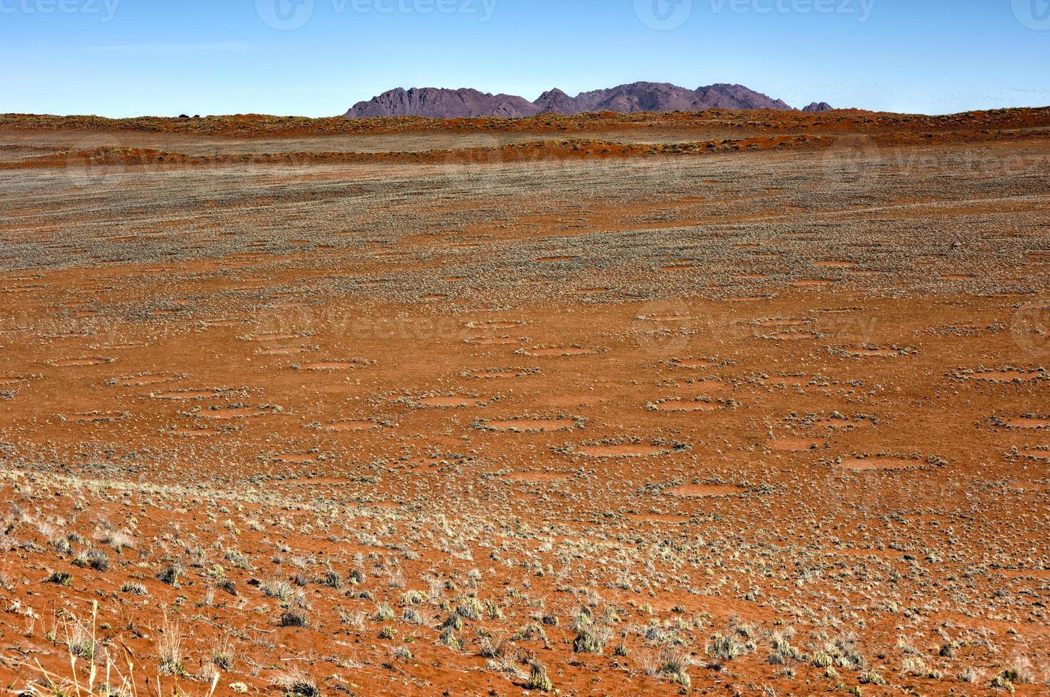 Feenkreise - Namibia foto