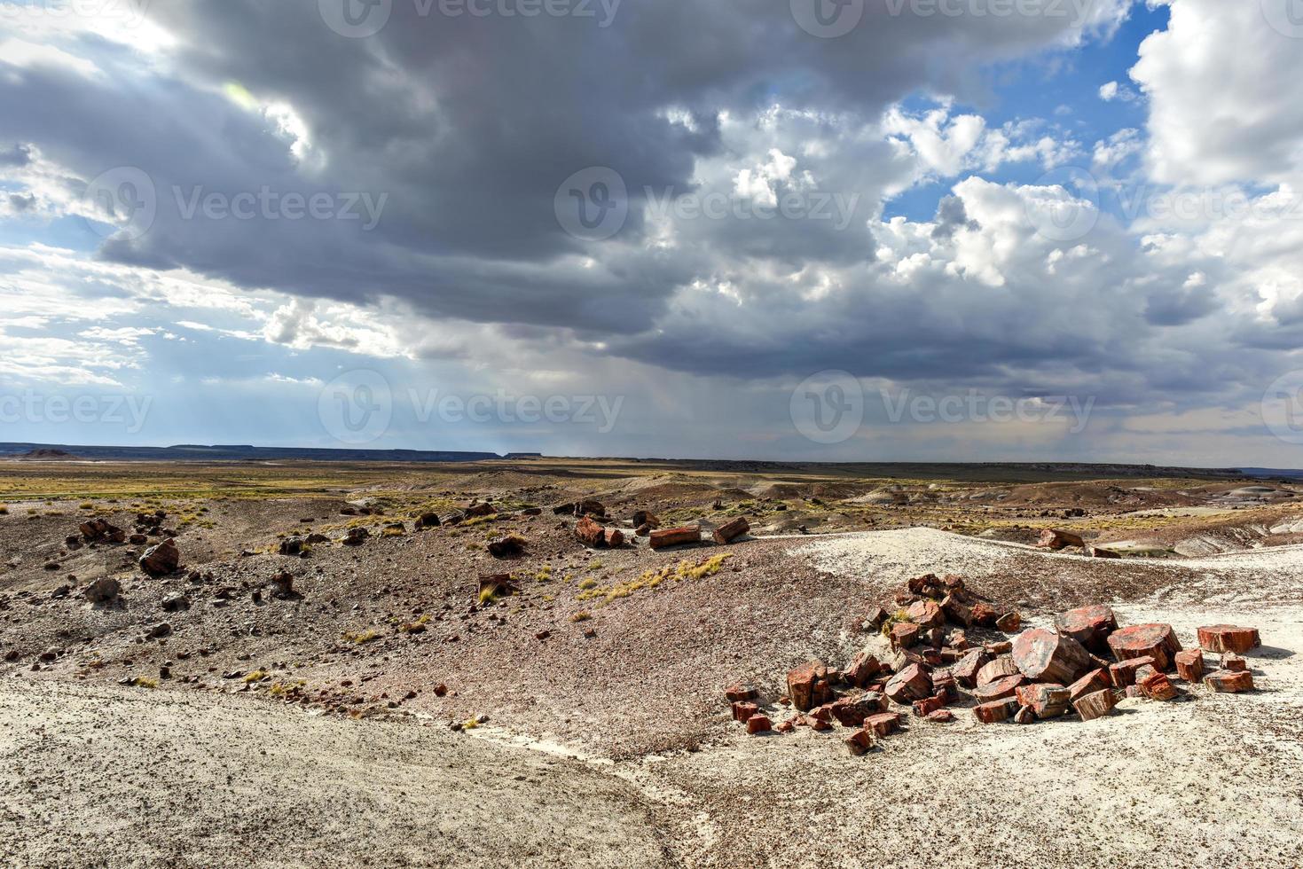 Der Kristallwald im Petrified-Forest-Nationalpark in Arizona. foto