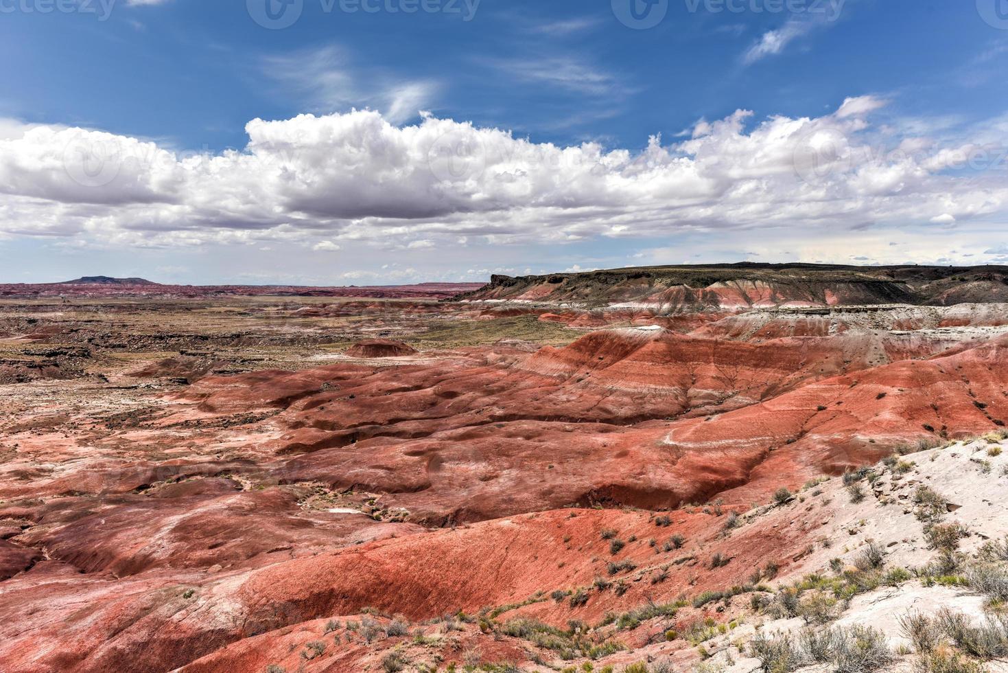 Lacey Point im Petrified-Forest-Nationalpark in Arizona. foto