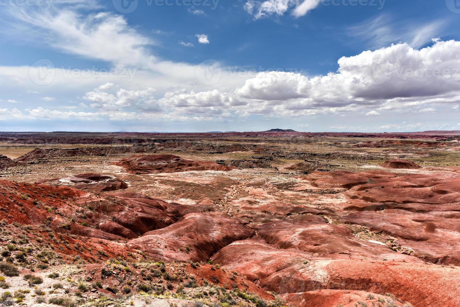 Lacey Point im Petrified-Forest-Nationalpark in Arizona. foto