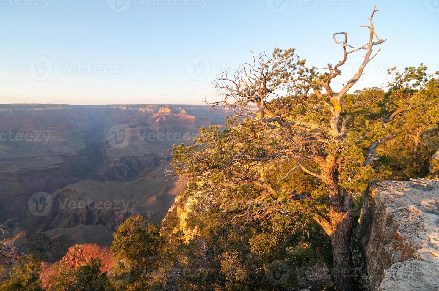 Grand-Canyon-Nationalpark vom Rand. foto