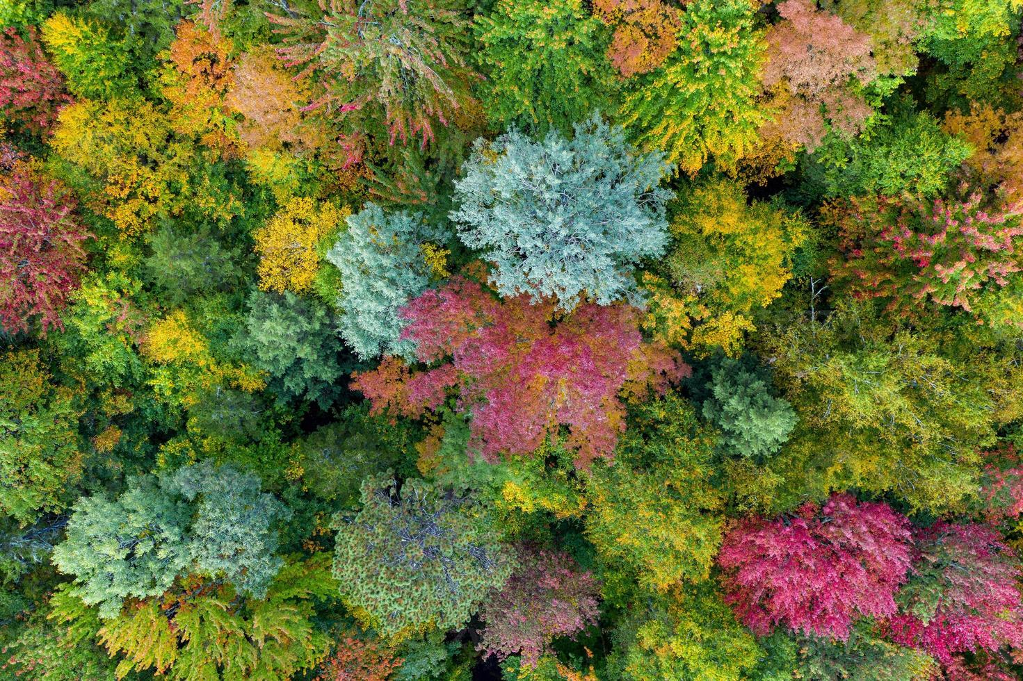 luftaufnahme von vermont und umgebung während der laubspitzen im herbst. foto