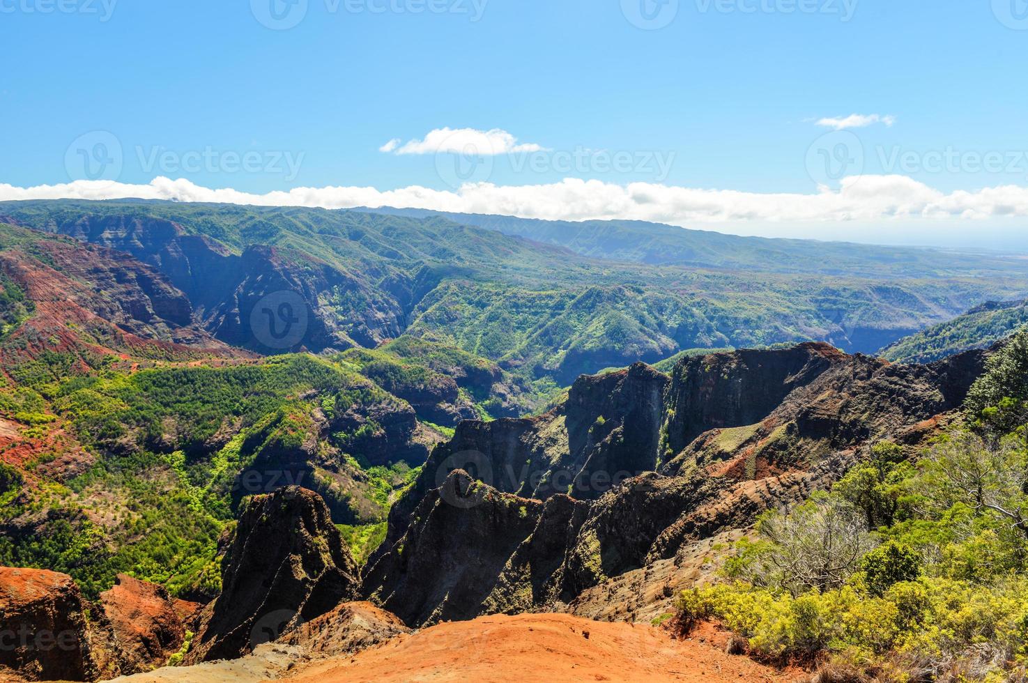 Waimea Canyon in Kauai, Hawaii-Inseln foto