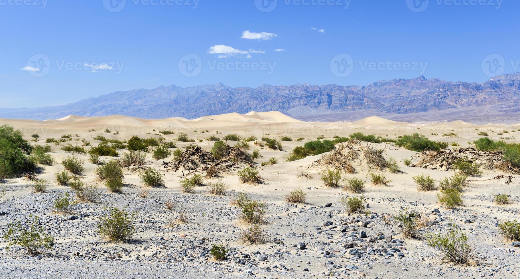 Mesquite flache Sanddünen, Death Valley foto