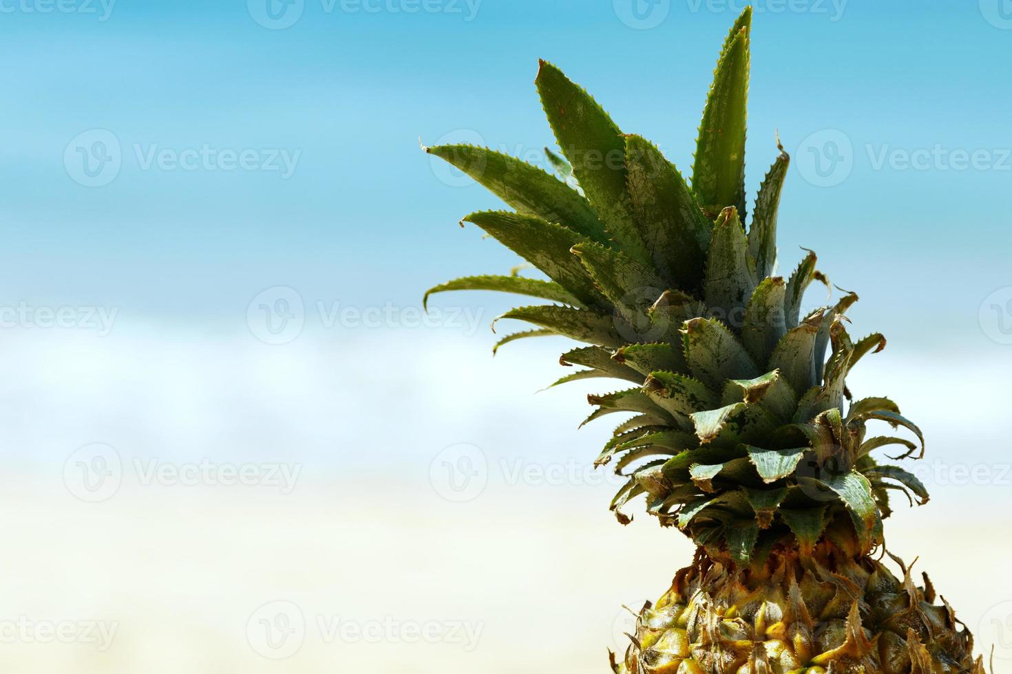 Ananas am Strand foto