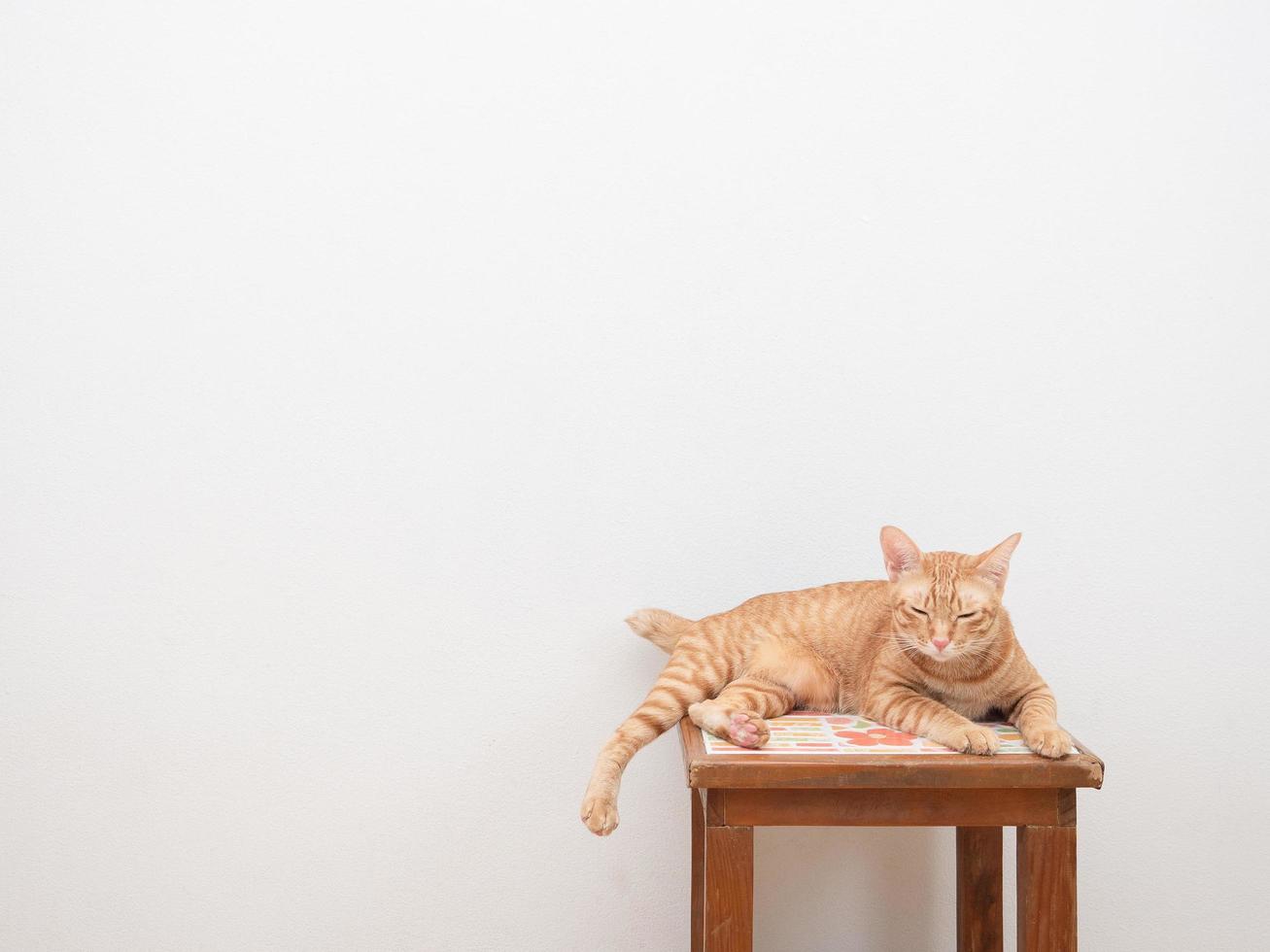 Süße Katze orange Farbe sitzt auf dem Stuhl und schaut in die Kamera auf weißem Hintergrund foto