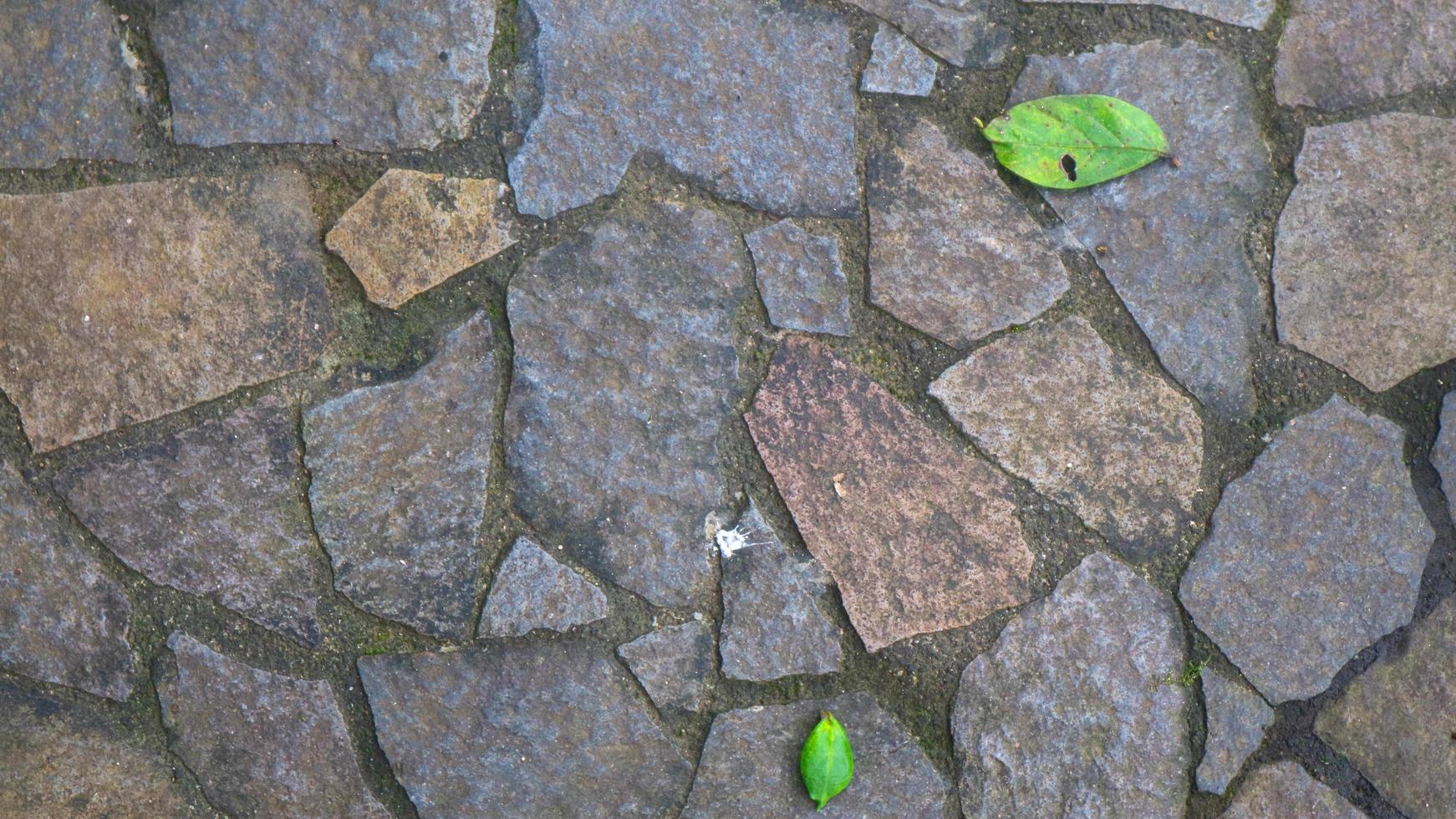 Kopfsteinpflasterweg mit abgefallenen Blättern. als Hintergrund foto