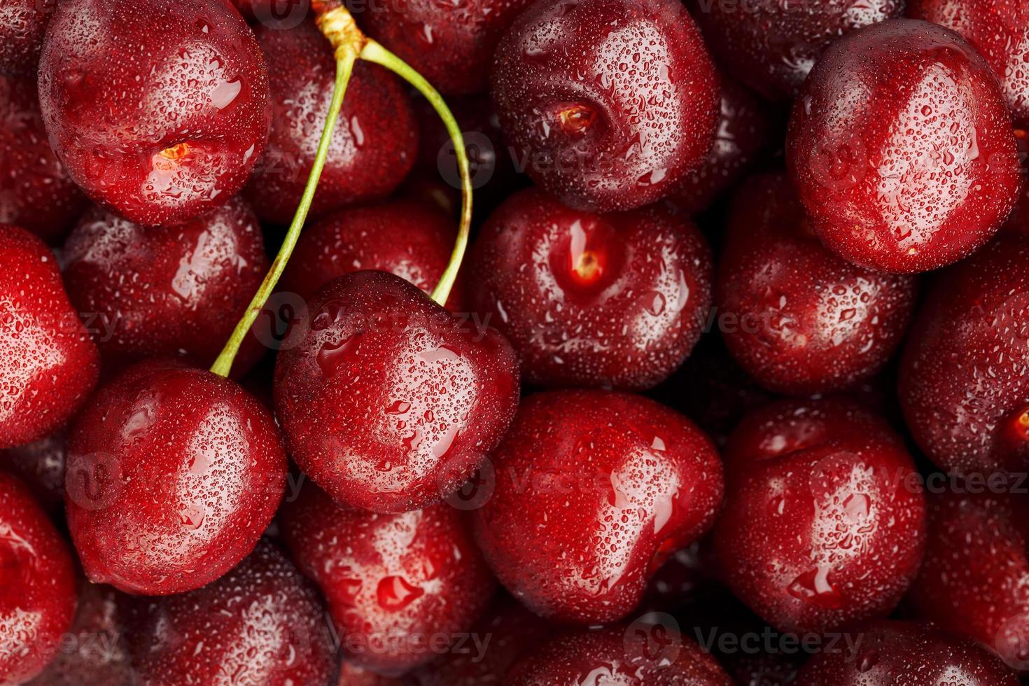 Reife und frische Beeren einer Süßkirsche mit Wassertropfen in der Nähe. foto