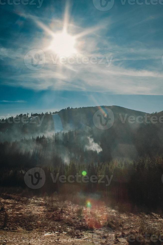 Hügel mit Waldsilhouette bei Sonnenlicht Landschaftsfoto foto