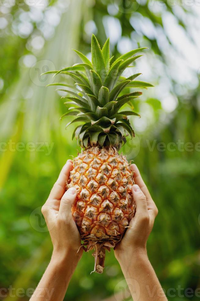 weibliche hände mit ganzer frischer und reifer ananas foto