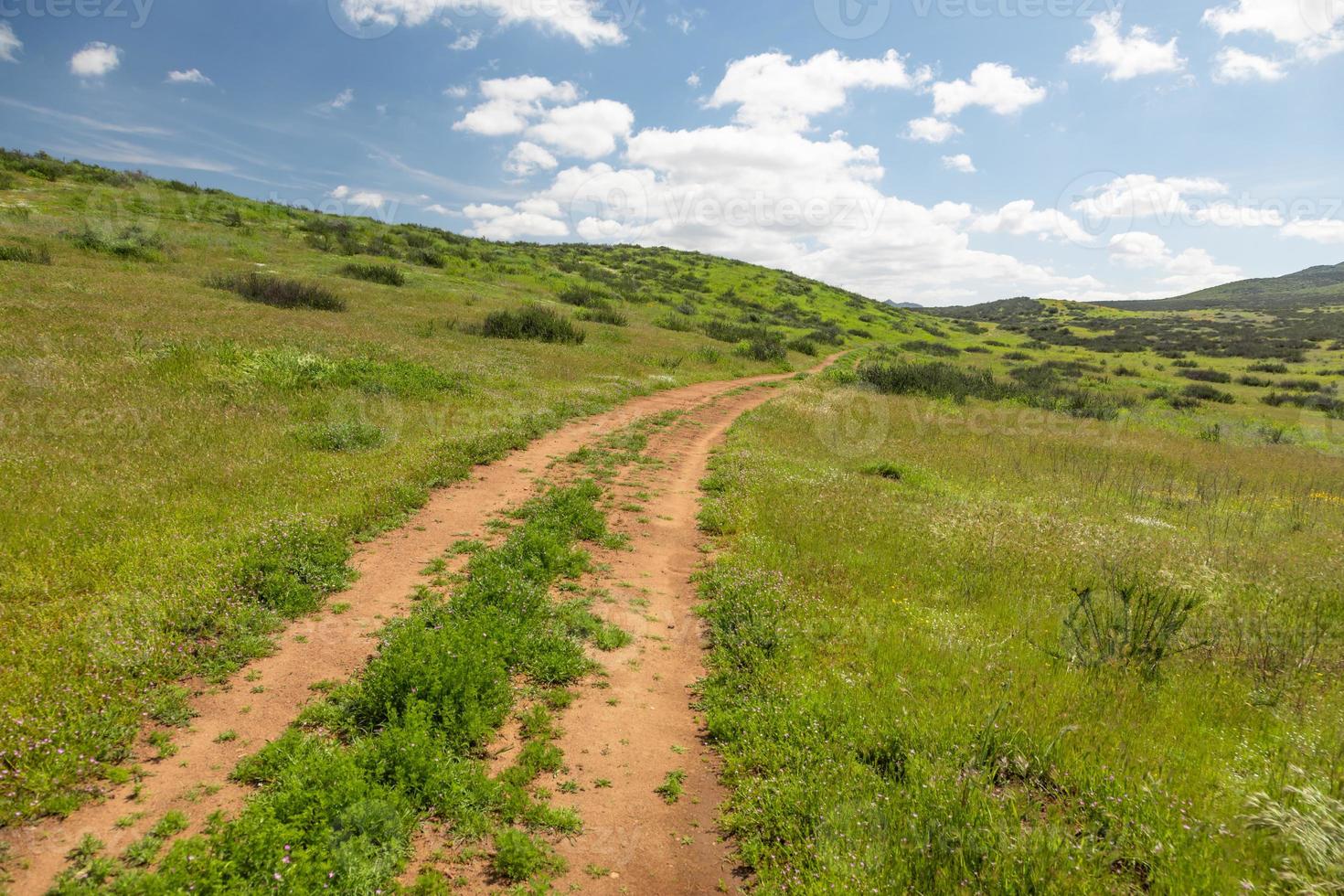 Schotterweg in üppiger grüner Wiese, die in die Hügel führt foto