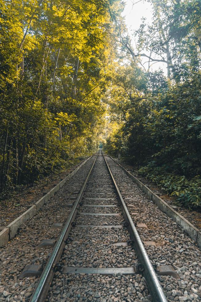 eine schöne Eisenbahnstrecke im Wald. foto