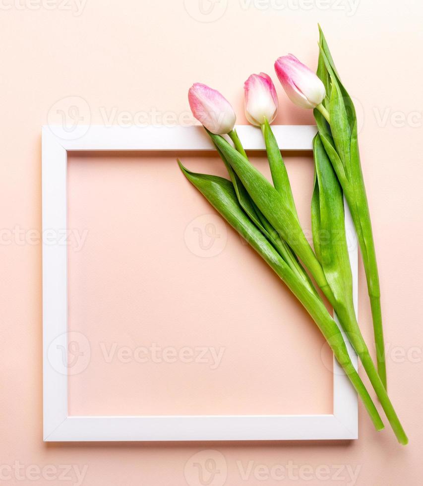 weißer quadratischer leerer rahmen und drei rosa tulpen darauf auf pastellrosa. Ansicht von oben. Platz kopieren. Attrappe, Lehrmodell, Simulation. foto