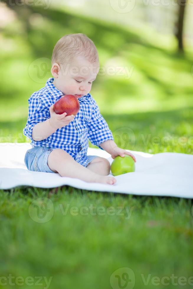 Mischlingsjunge sitzt auf einer Decke und vergleicht Äpfel mit Äpfeln draußen im Park foto