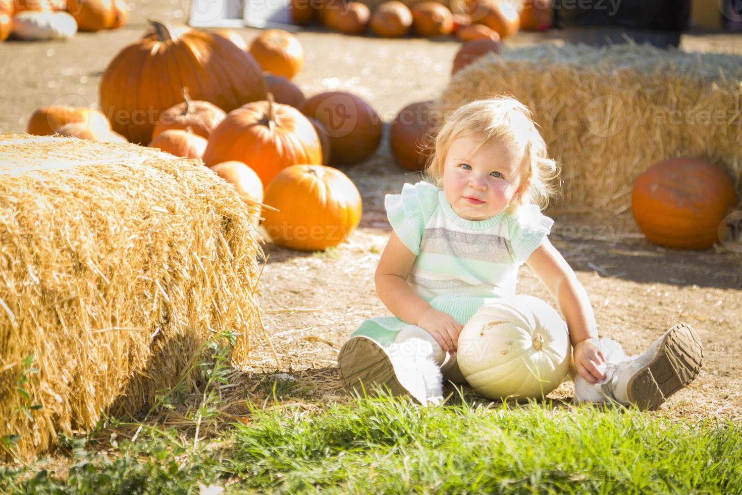 entzückendes kleines Mädchen, das sich in einer rustikalen Ranch am Pumpkin Patch amüsiert. foto