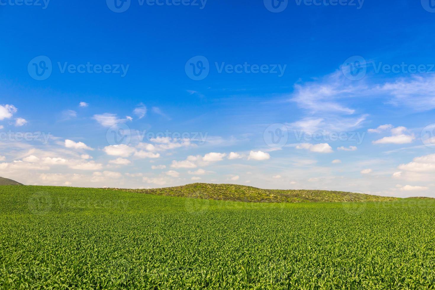 üppige grüne Ackerlandlandschaft mit Hügeln in der Ferne foto