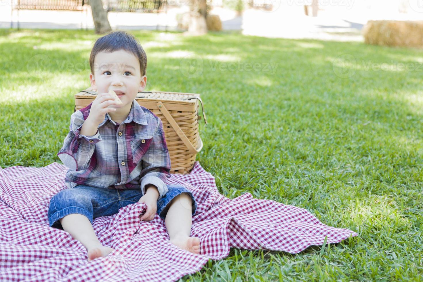 junger Mischlingsjunge, der im Park in der Nähe von Picknickkorb sitzt foto