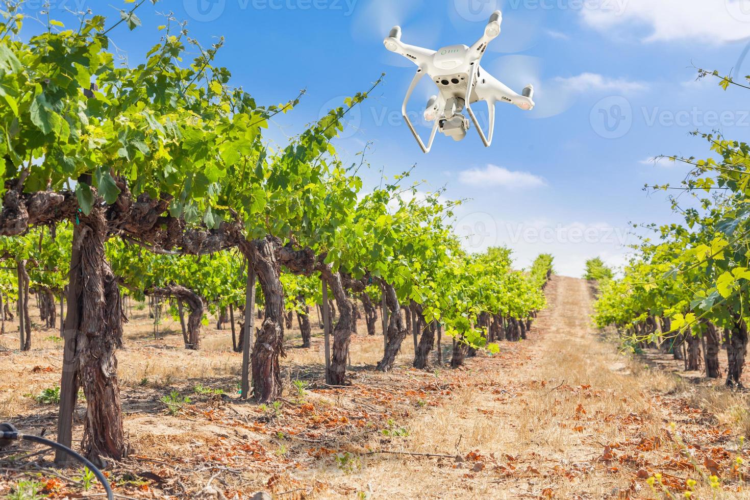 unbemanntes flugzeugsystem uav quadcopter drohne in der luft über traubenweingut foto