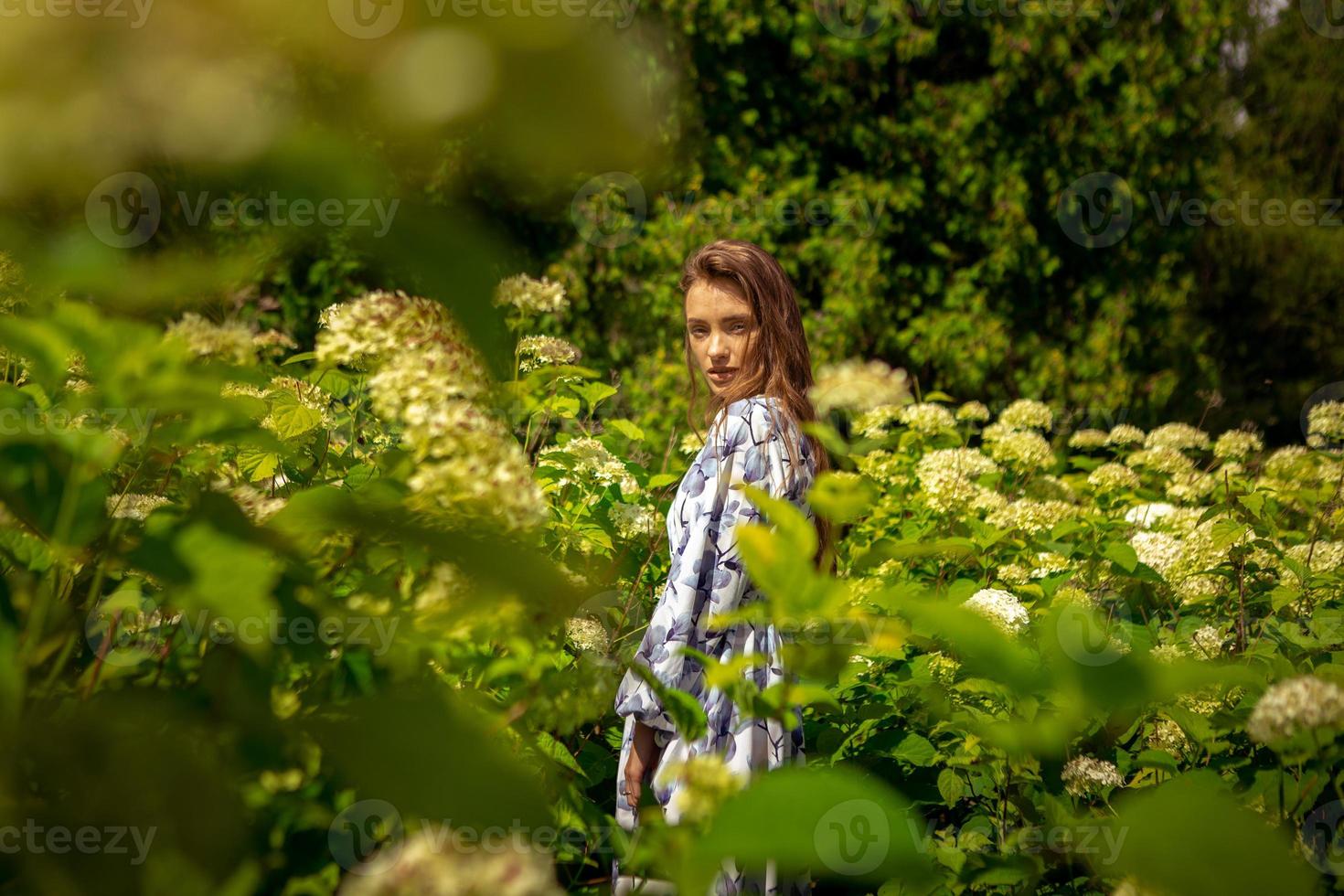 junge glamouröse dame, die in den feldblumen im kleid mit aufdruck posiert foto