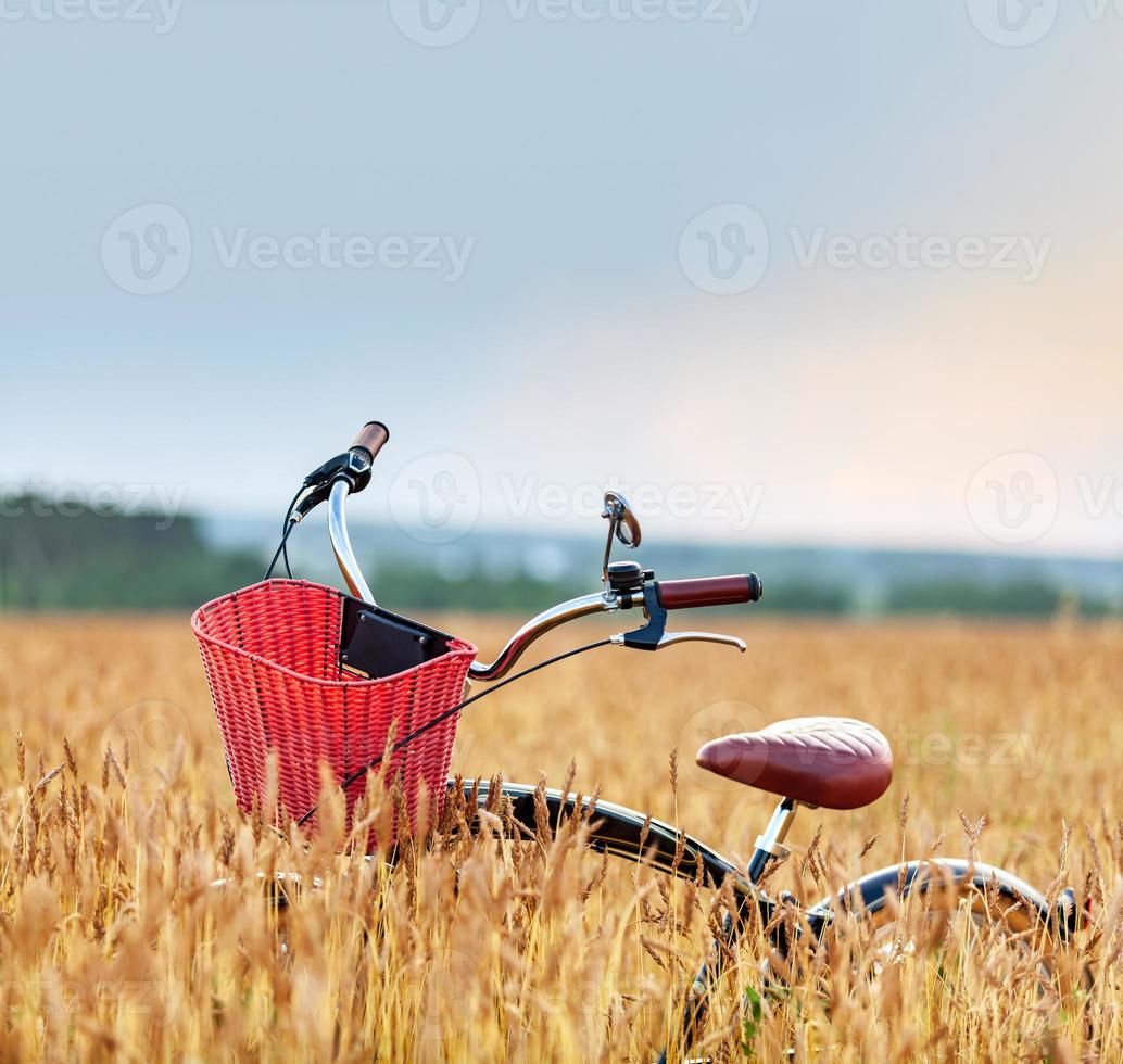 Fahrrad, das in einem Feld unter Ähren steht foto