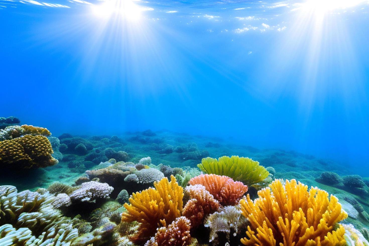 Unterwasserszene. Korallenriff des Ozeans unter Wasser. Meereswelt unter Wasserhintergrund. foto