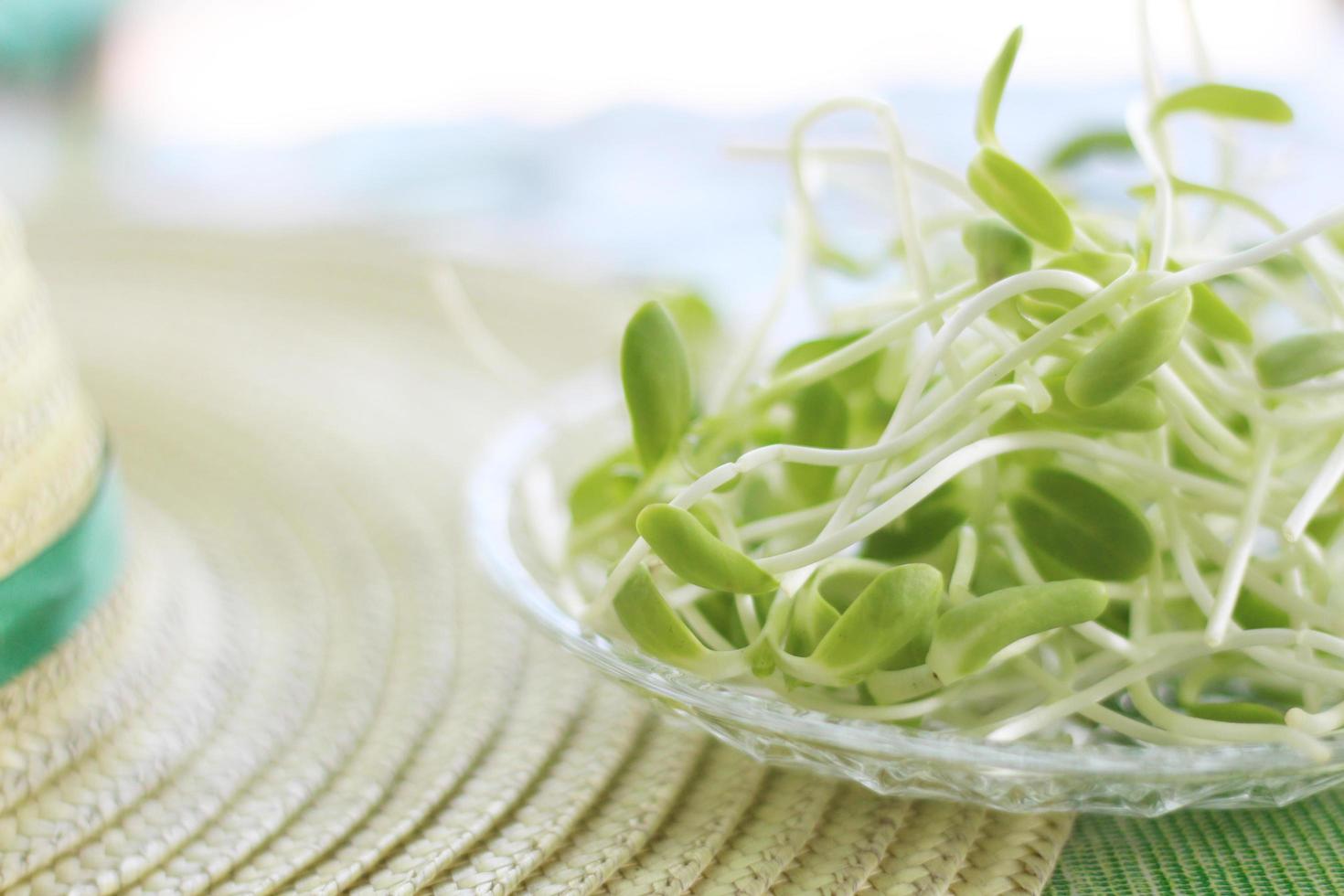 sonnenblumensprossen in durchsichtiger platte auf dem tisch, sonnenblumensprossen für gesundheitsliebhaber, sauberes essen foto