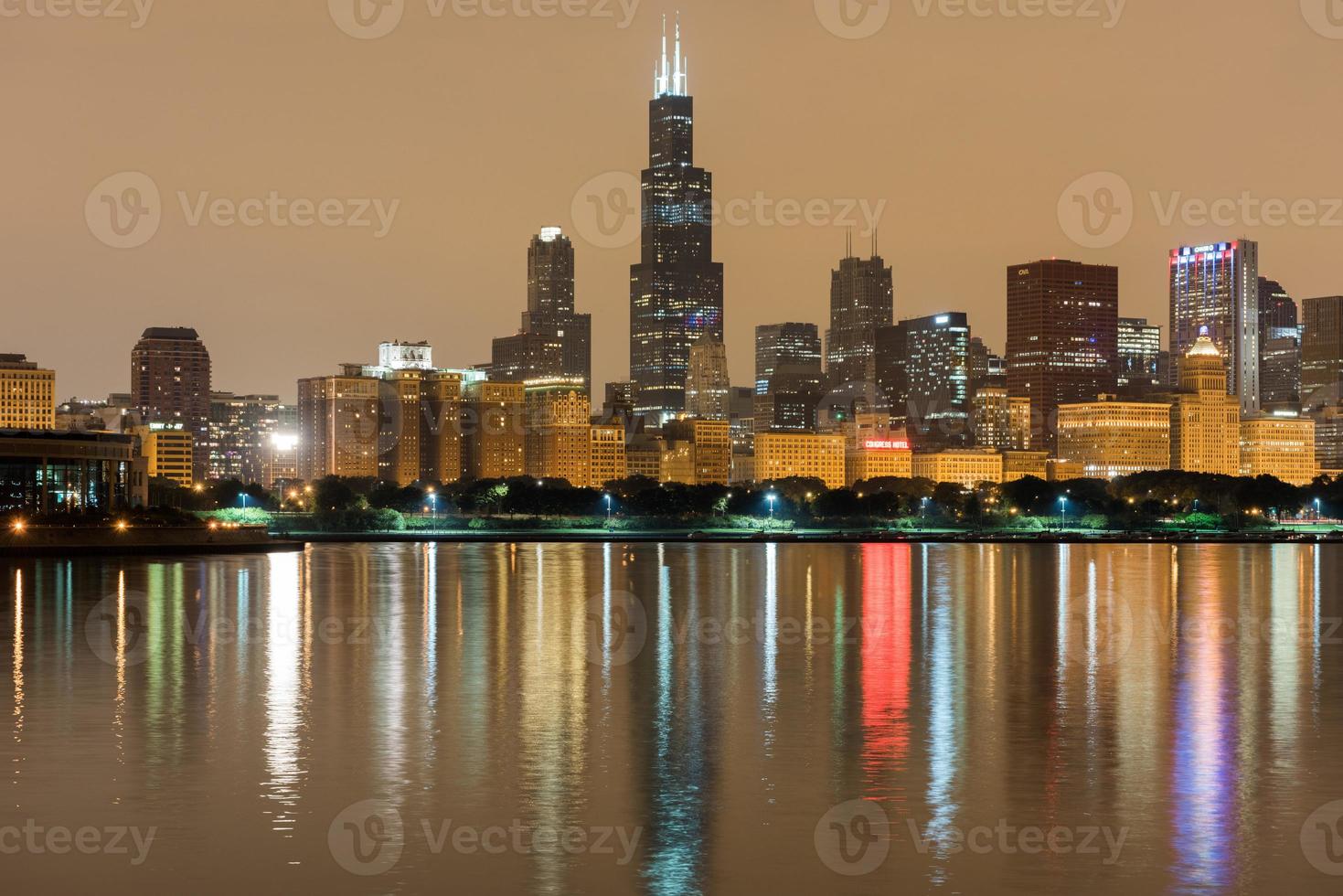 Chicago Skyline in der Nacht foto
