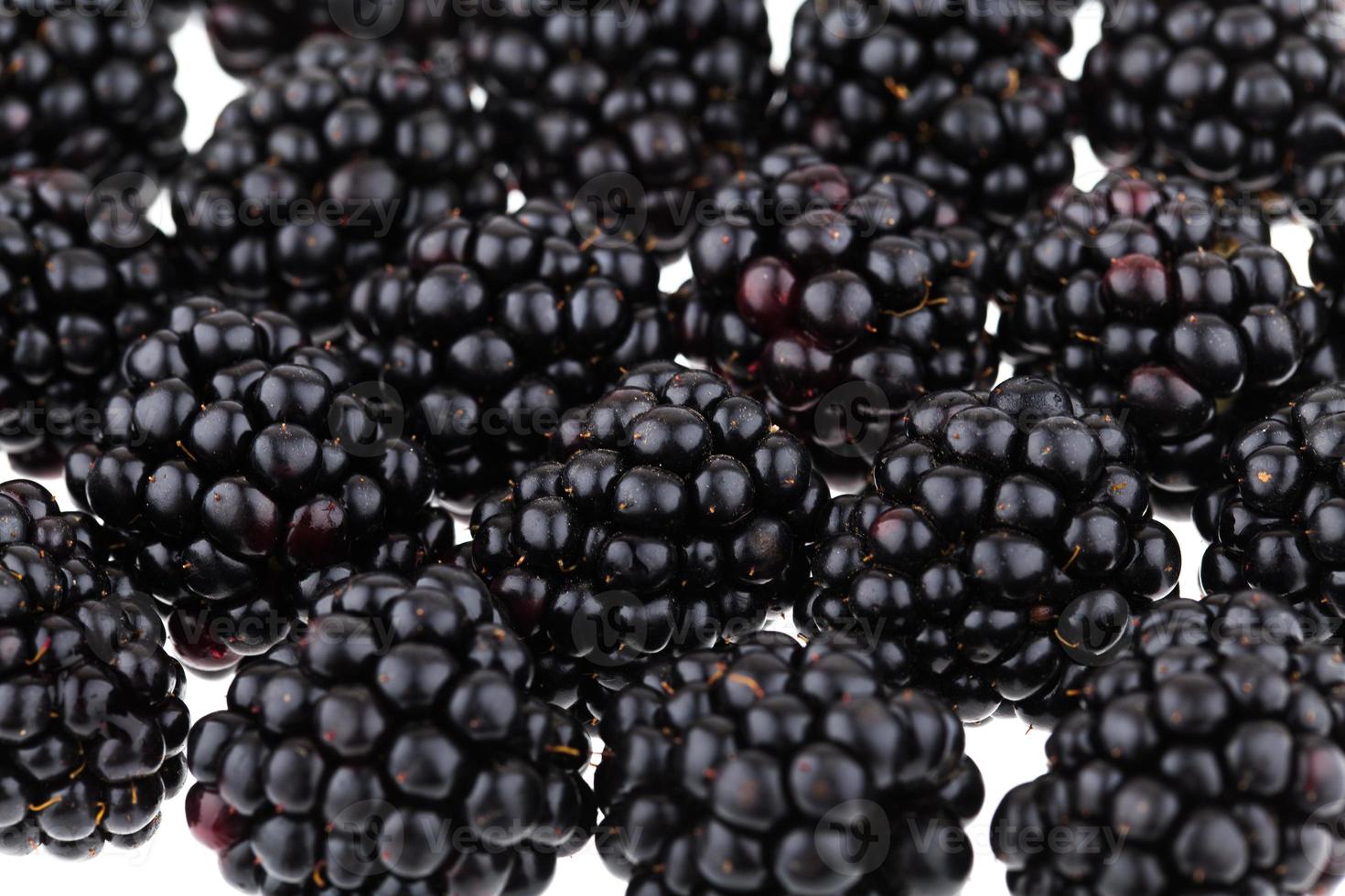 frische reife Brombeeren foto