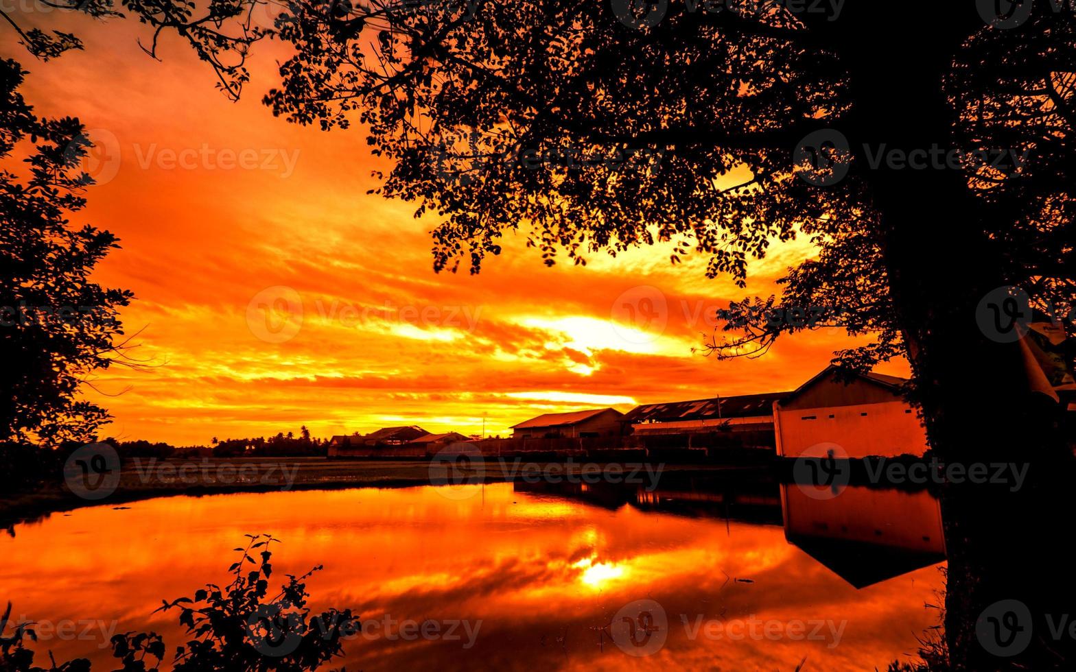 Sonnenuntergangslandschaft im Dorf mit Bäumen in der Silhouette foto