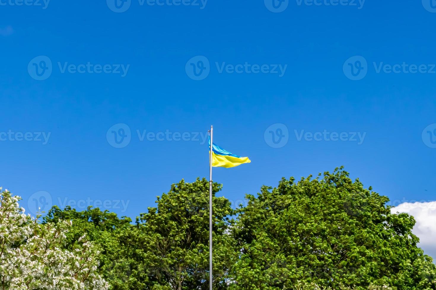 Fotografie zum Thema ukrainische Nationalflagge im friedlichen Himmel foto