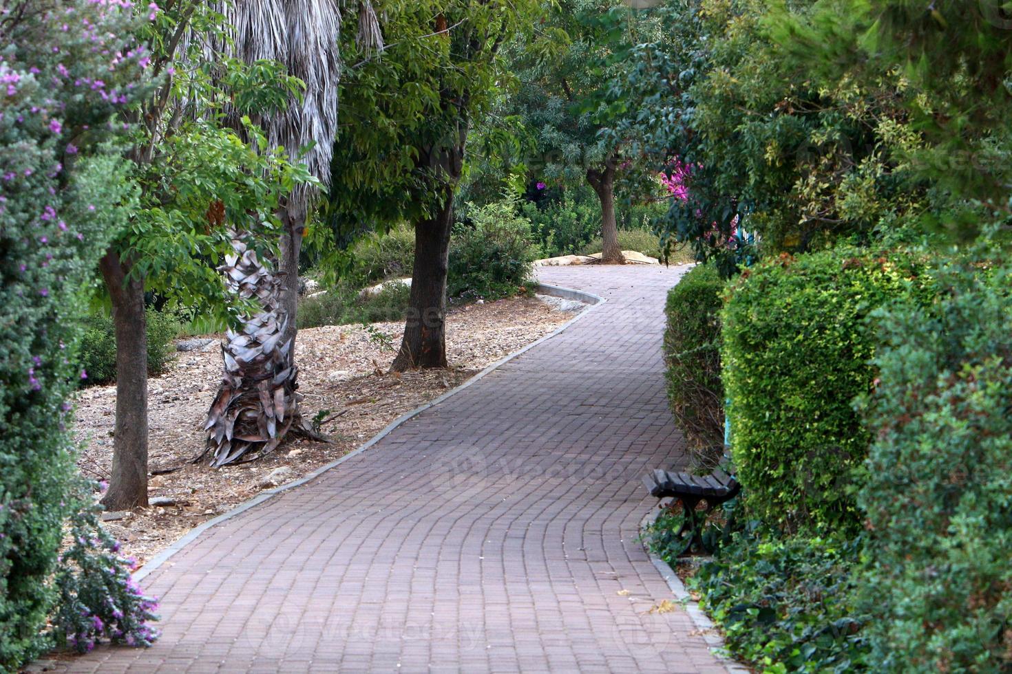 Straße für Fußgänger in einem Stadtpark im Norden Israels. foto