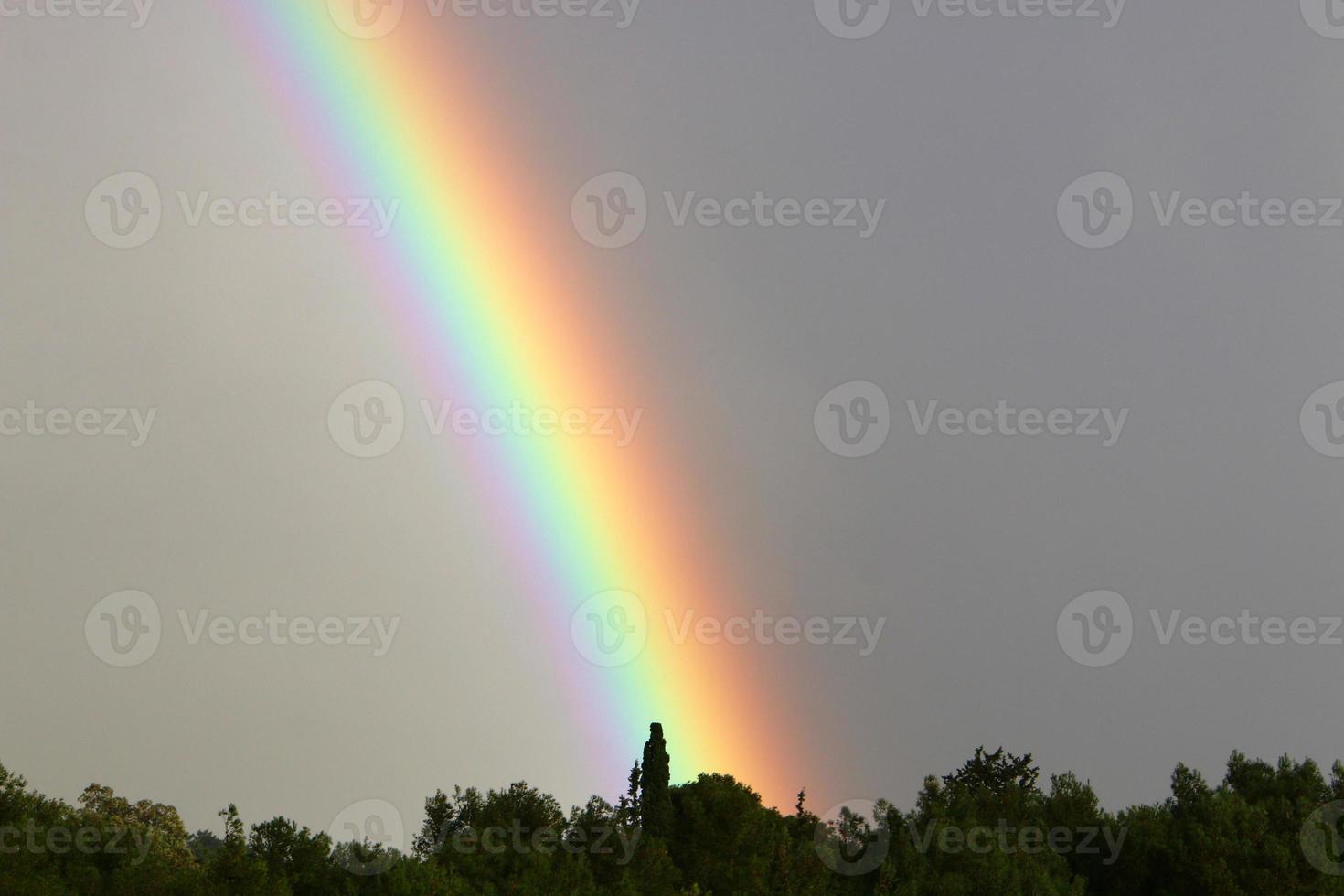 Regenbogen am Himmel über dem Wald. foto