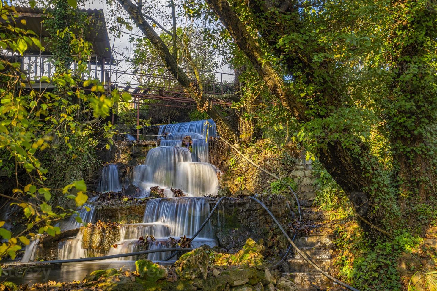 die letzten Schönheiten des Herbstes, bevor der Winter beginnt foto