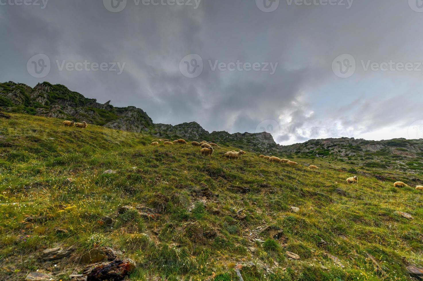 hügelige landschaft in der nähe des dorfes gergeti in georgia, unter dem berg kazbegi. foto