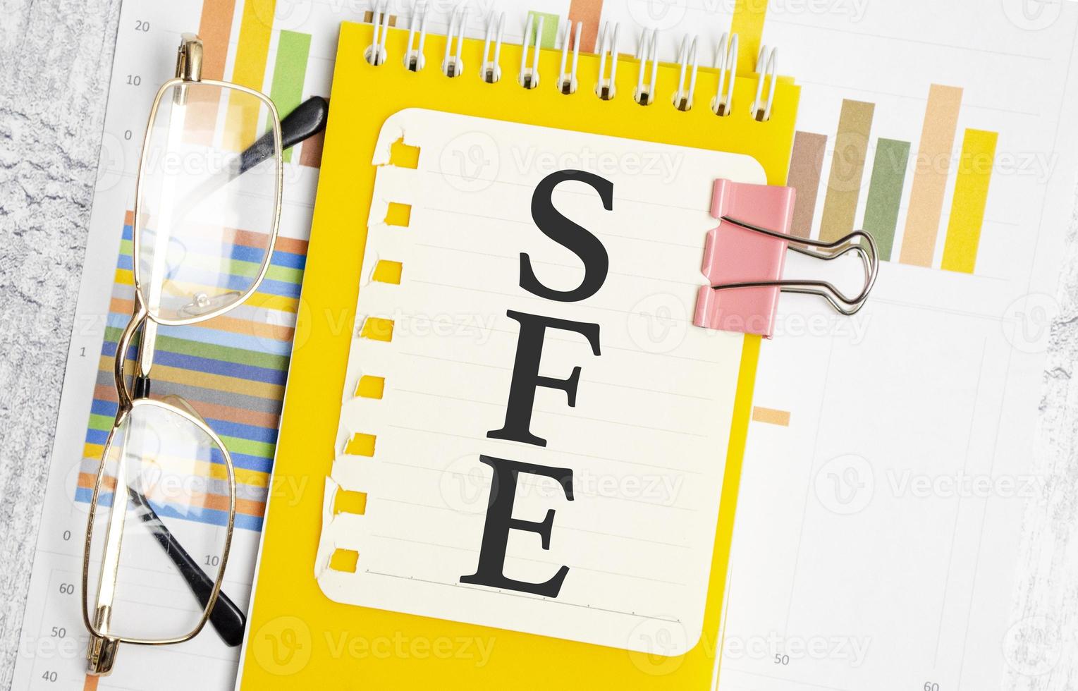Konzeptbild der Buchhaltungsgeschäftsakronym-SFE-Verkaufskrafteffektivität geschrieben auf weißes Notizbuch foto