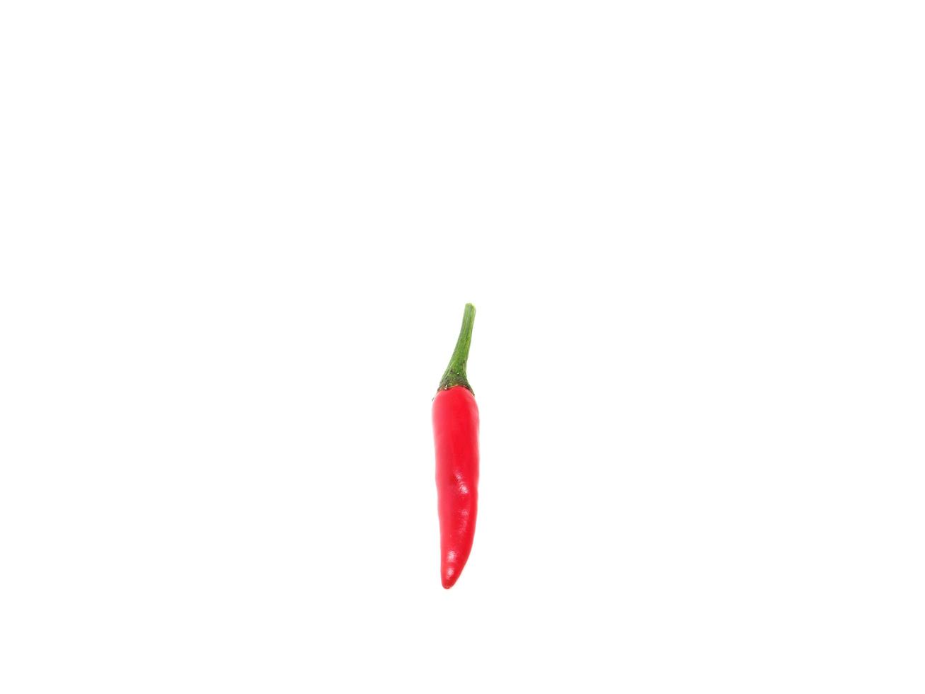 roter Chili-Charakter foto