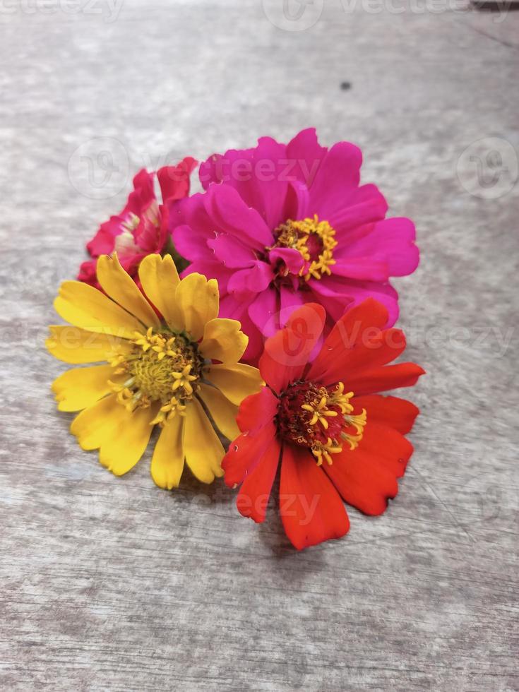 ästhetische bunte blumen auf holzstrukturhintergrund foto