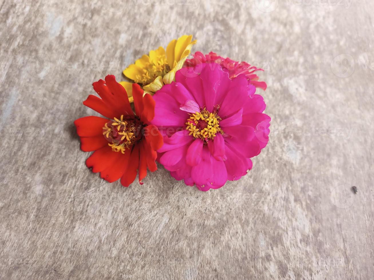 ästhetische bunte blumen auf holzstrukturhintergrund foto