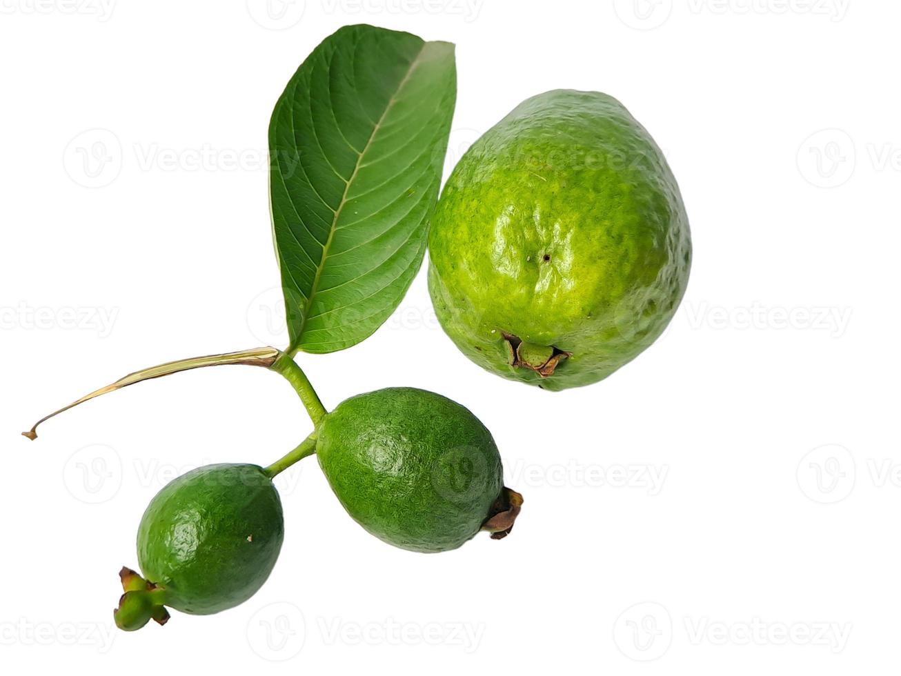 Guave ist eine weit verbreitete tropische Frucht, die in vielen tropischen und subtropischen Gebieten angebaut wird, gemeine Guave, Psidium-Guave, Guave-Zitrone, Guave-Apfel foto