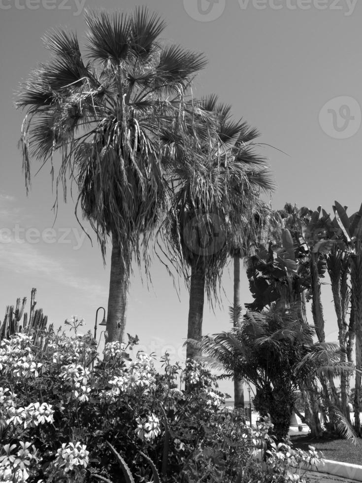 Insel Teneriffa in Spanien foto