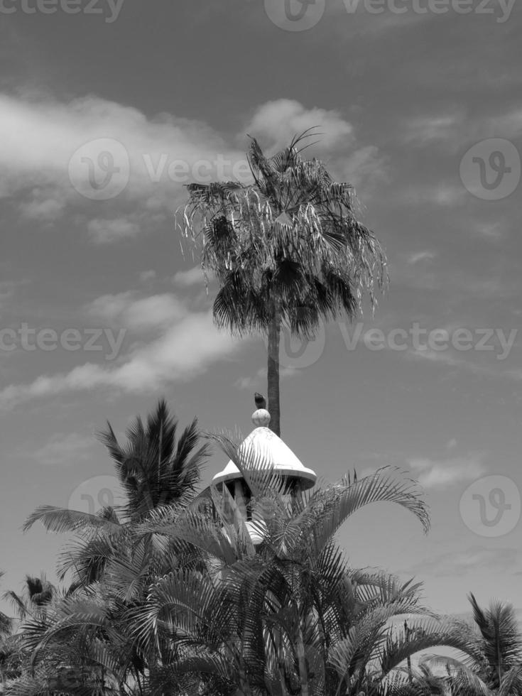 Insel Teneriffa in Spanien foto