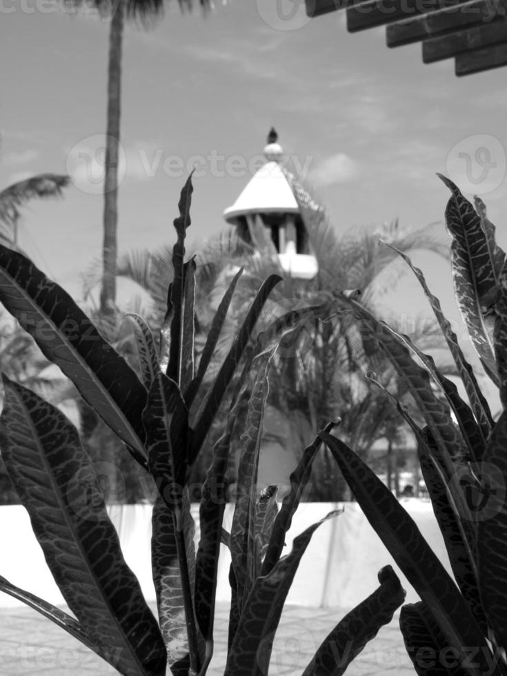 Insel Teneriffa in Spanien foto