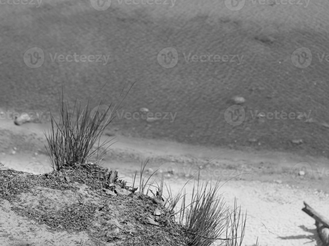 an der Ostsee in Polen foto