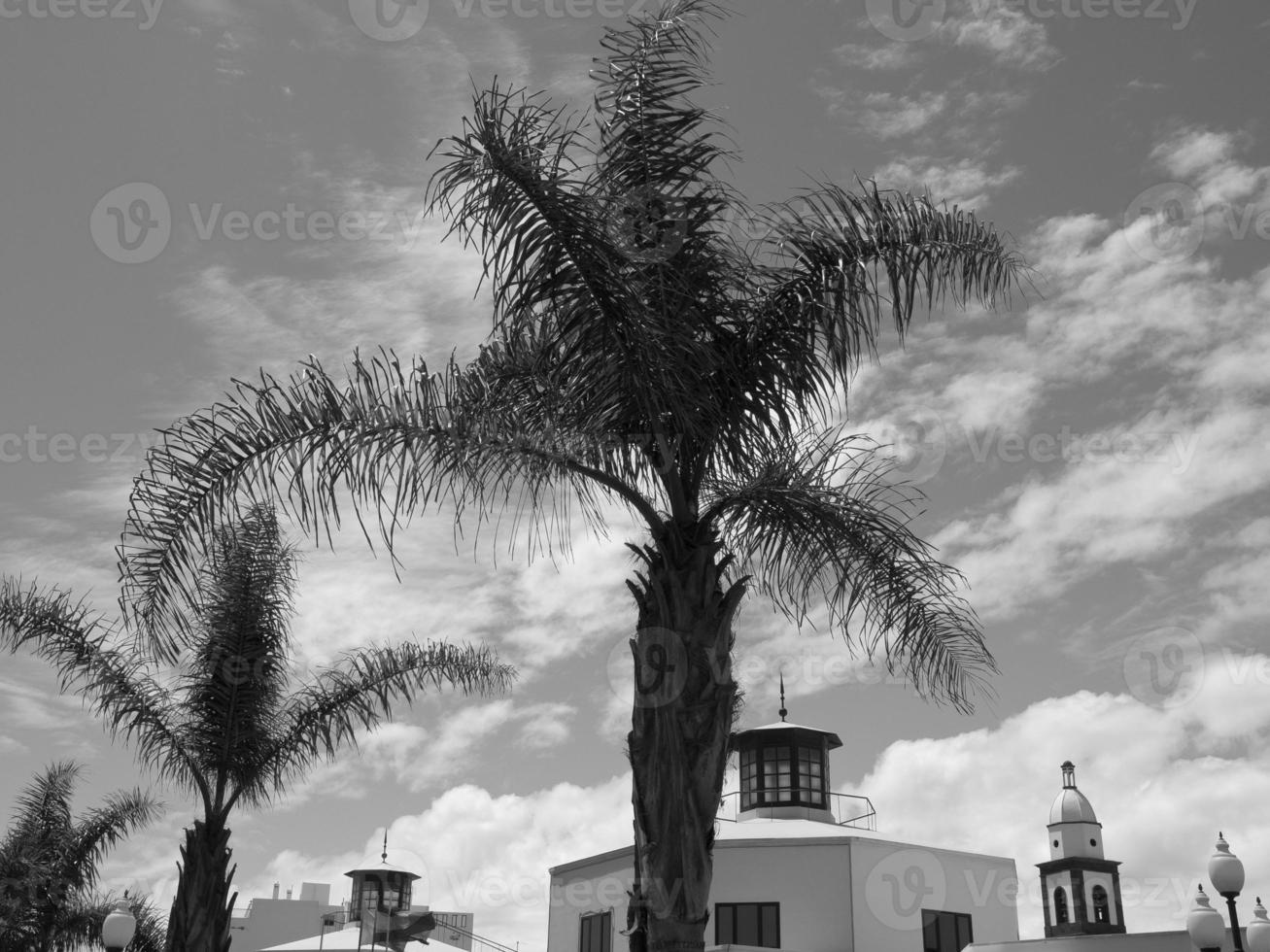 Insel Lanzarote in Spanien foto