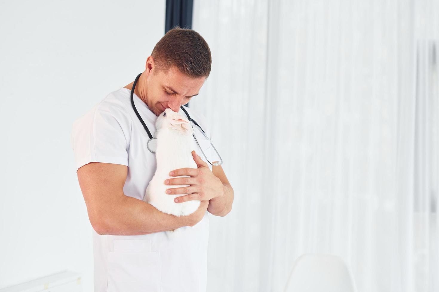 junger tierarzt ist drinnen mit kleinem kaninchen. Konzeption des Gesundheitswesens foto