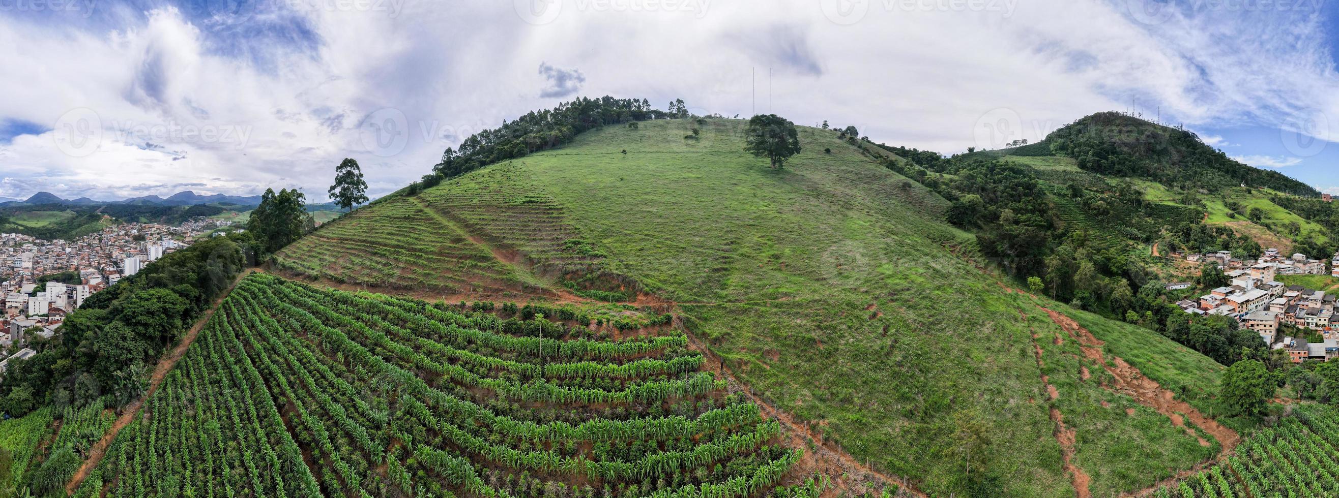 Panorama-Drohne aus der Luft einer Kaffeeplantage in Manhuacu, Minas Gerais, Brasilien foto