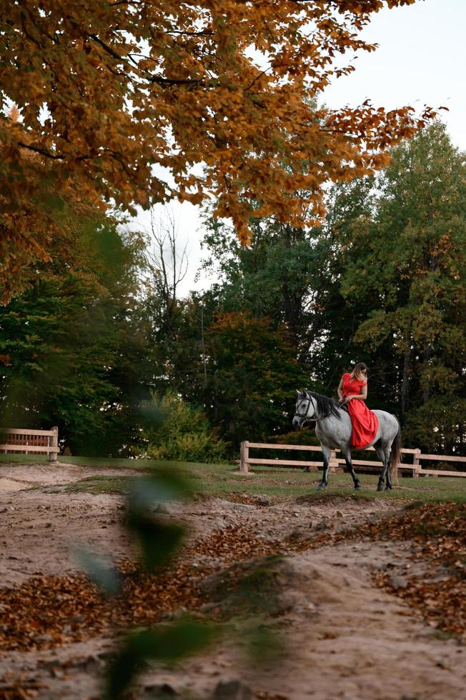 Eine Frau in einem roten Kleid sitzt auf einem Pferd, ein Herbstspaziergang im Wald. foto