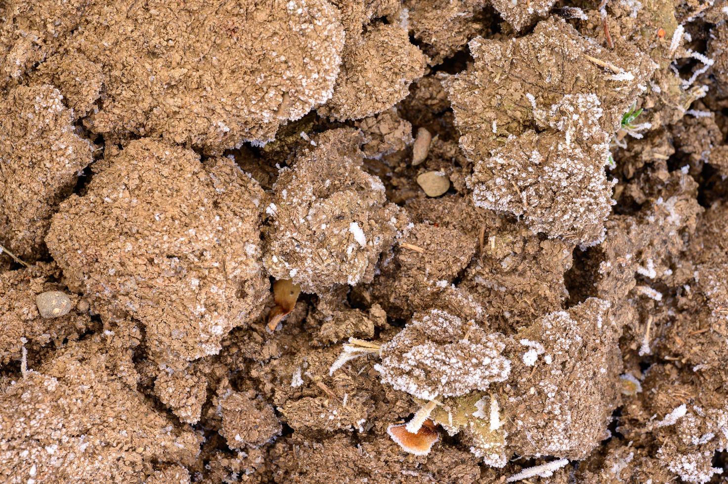 der Boden ist mit Frühlingsfrost bedeckt, der Boden erwacht nach Winter, rissiger Erde und Frühlingsmorgen. foto